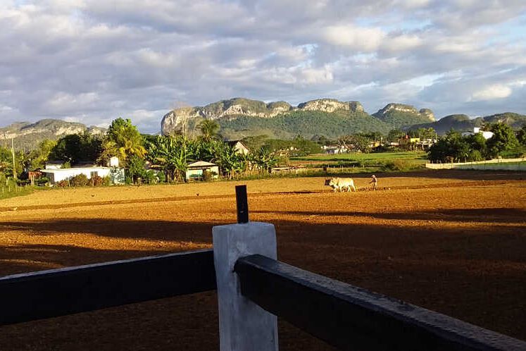 Casa Silence Valley Appartement 2